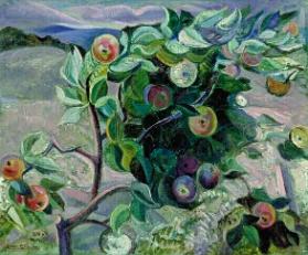 Wild Apples, Laurentians, P.Q.