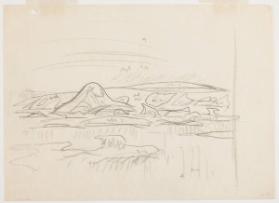 Photo Credit: Toni Hafkenscheid