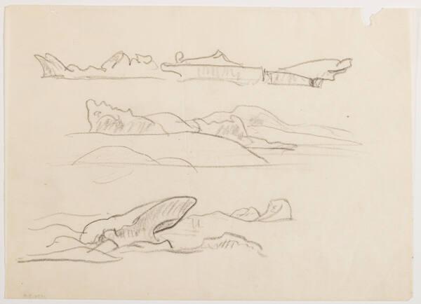 Photo Credit: Toni Hafkenscheid