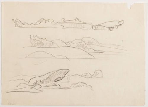 Photo Credit: Toni Hafkenscheid