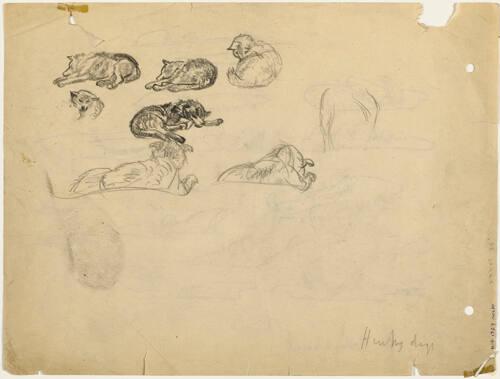 Husky Dogs (R); Ice Austin Channel (V)