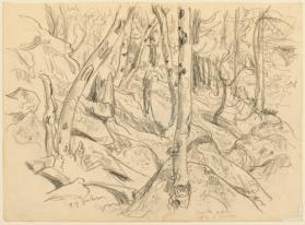 Untitled (trees, rocks) (R); Untitled (rough sketch - landscape) (V)