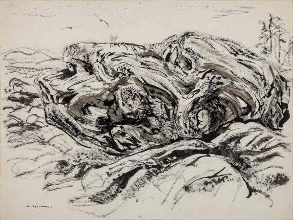 Photo Credit: Toni Hafkenscheid