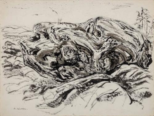 Photo Credit: Toni Hafkenscheid