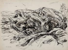 Photo Credit: Toni Hafkenscheid