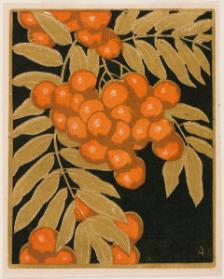 Mountain Ash (Rowanberry) State II