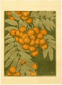 Mountain Ash (Rowanberry) State II