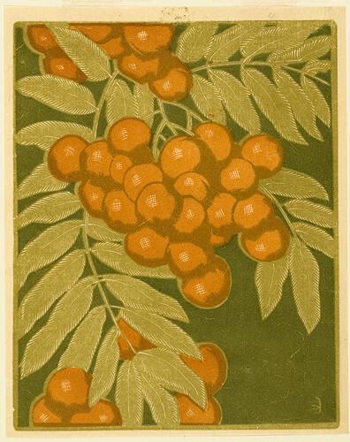 Mountain Ash (Rowanberry) State II