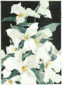 Trilliums