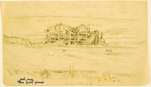 Lens, Looking From Beetle North