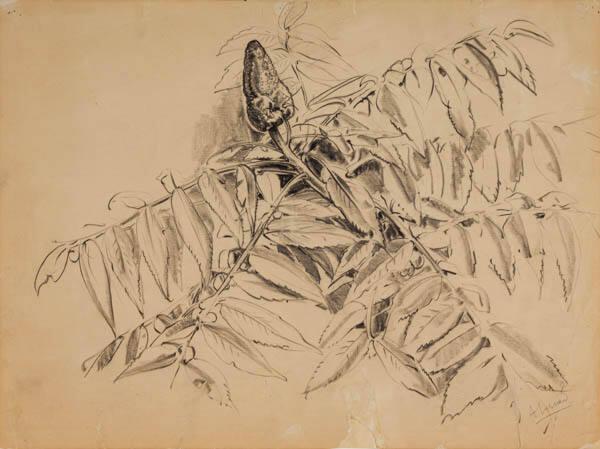 Photo Credit: Toni Hafkenscheid