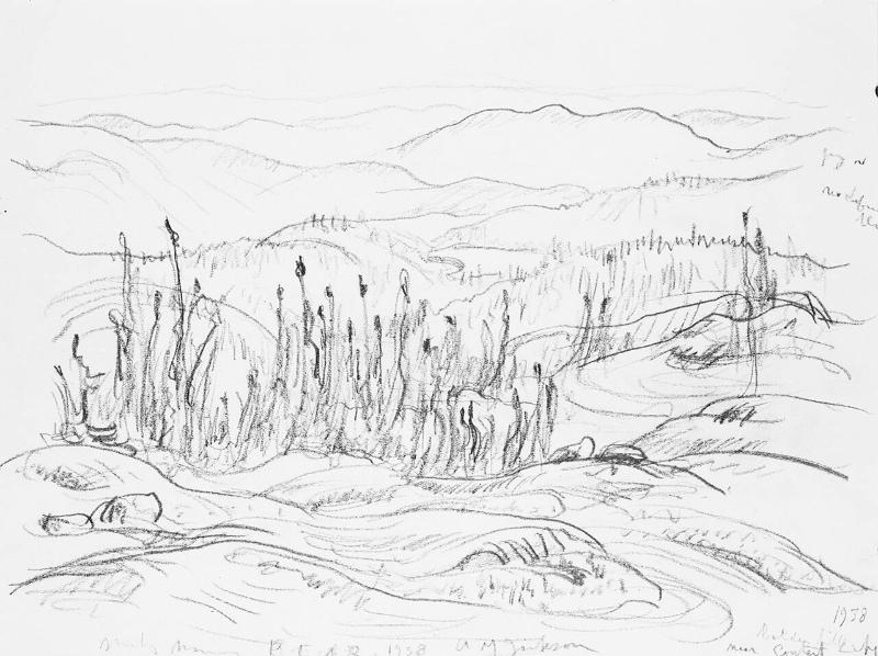 Looking South from Great Bear Lake (R); Contact Lake (V)