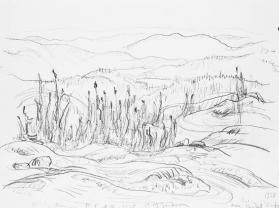 Looking South from Great Bear Lake (R); Contact Lake (V)