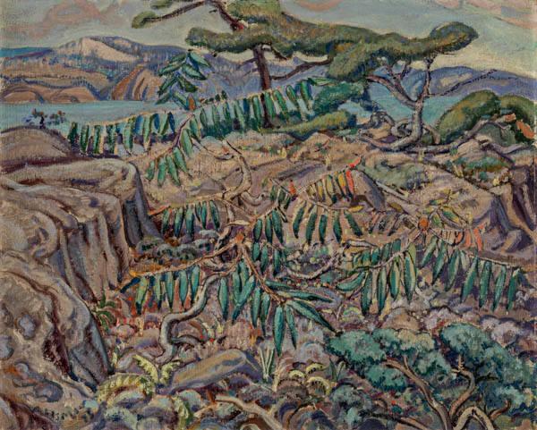 Photo Credit: Toni Hafkenscheid