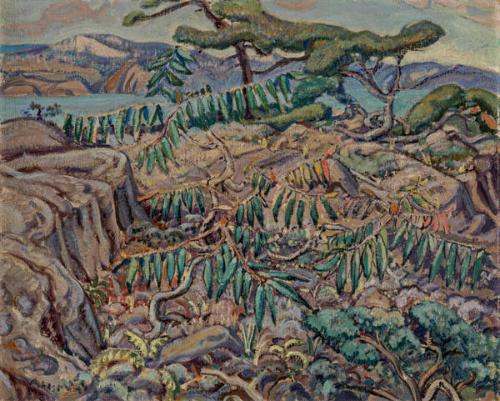 Photo Credit: Toni Hafkenscheid