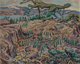 Photo Credit: Toni Hafkenscheid