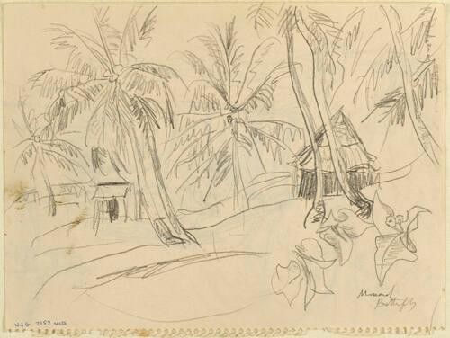 Monarch Butterfly (R); Untitled (Tobago) (V)