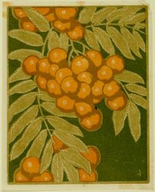 Mountain Ash (Rowanberry) State II