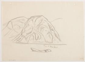 Photo Credit: Toni Hafkenscheid