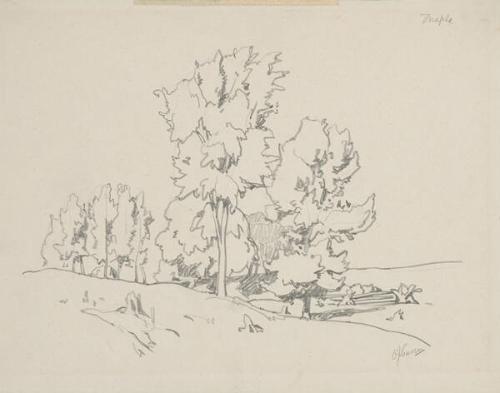 © The Estate of A.J. Casson