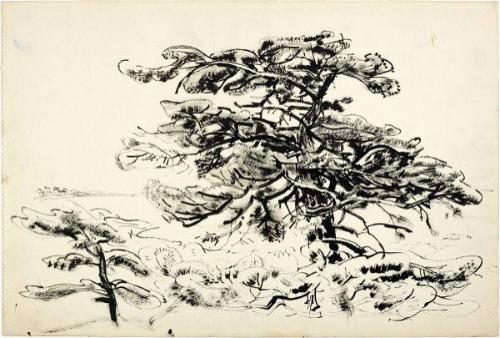 Photo: Alexandra Cousins