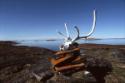 Pirujaqarvik (an inuksuk that marks a meat cache).
Andrew Gordon Bay area, Southwest Baffin Is…