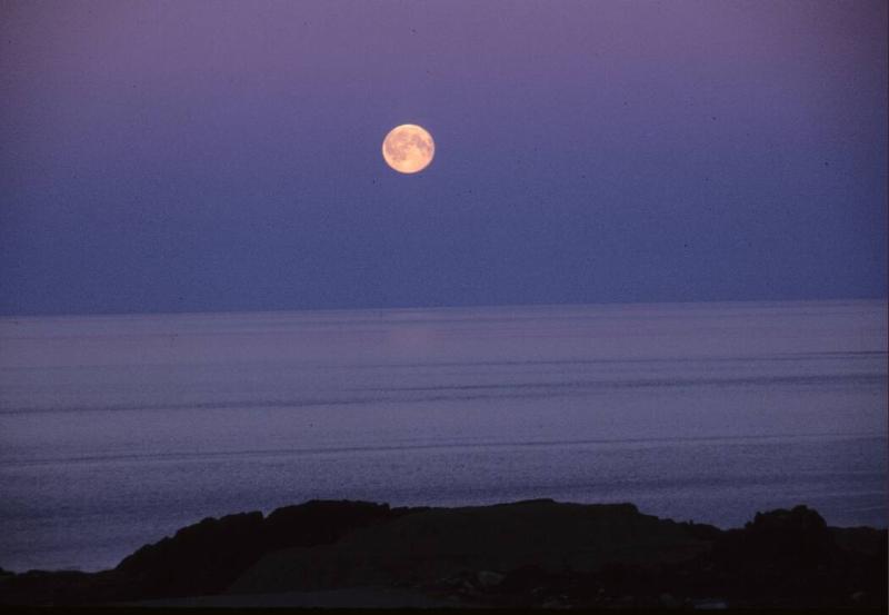 August moon in the Dorset area. 
Southwest Baffin Island, Nunavut, 1997

The Norman Hallendy…