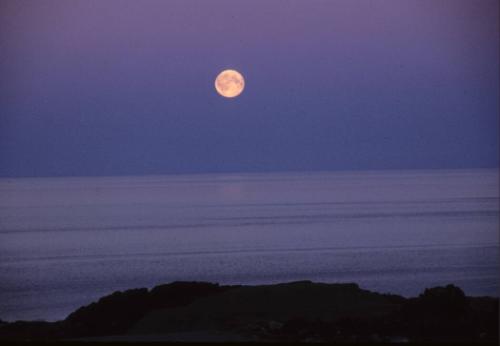 August moon in the Dorset area. 
Southwest Baffin Island, Nunavut, 1997

The Norman Hallendy…