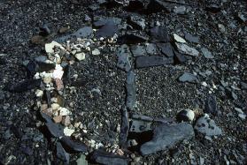 The Norman Hallendy Collection
Gift of Norman Hallendy, 2009
McMichael Canadian Art Collectio…