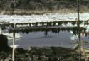 Arctic char on drying racks. 
Cape Dorset, Southwest Baffin Island, Nunavut, 1985

The Norma…