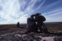 Inutsuliutuinnaqtuq (inuksuk which is built to pass the time where one waits) at the Tukilik si…