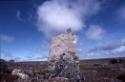 Inuksuk at the ancient Tukilik site.
Southwest Baffin Island, Nunavut, 1998

The Norman Hall…